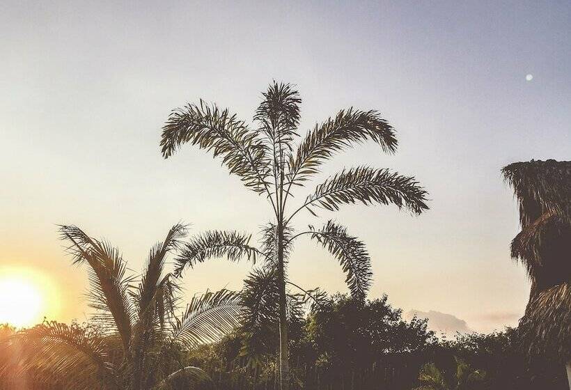 هتل Swell Surf & Lifestyle