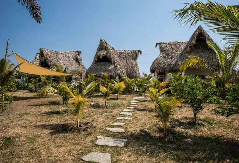 هتل Swell Surf & Lifestyle