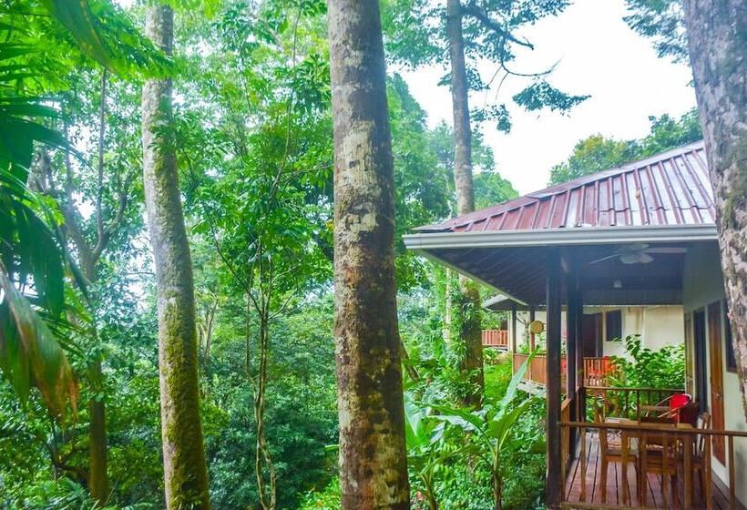 호텔 Villas En El Bosque