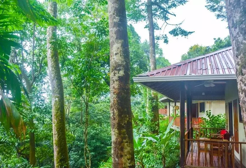 ホテル Villas En El Bosque