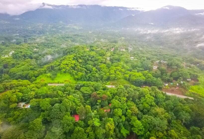 호텔 Villas En El Bosque