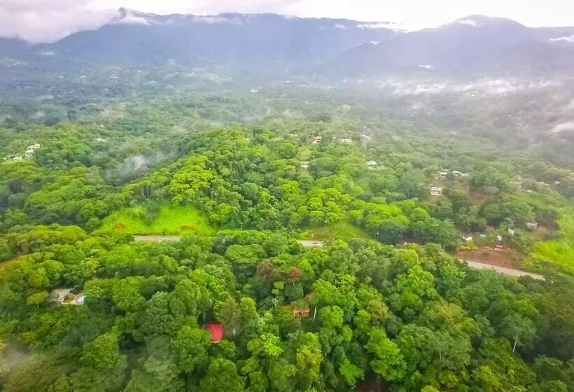 ホテル Villas En El Bosque