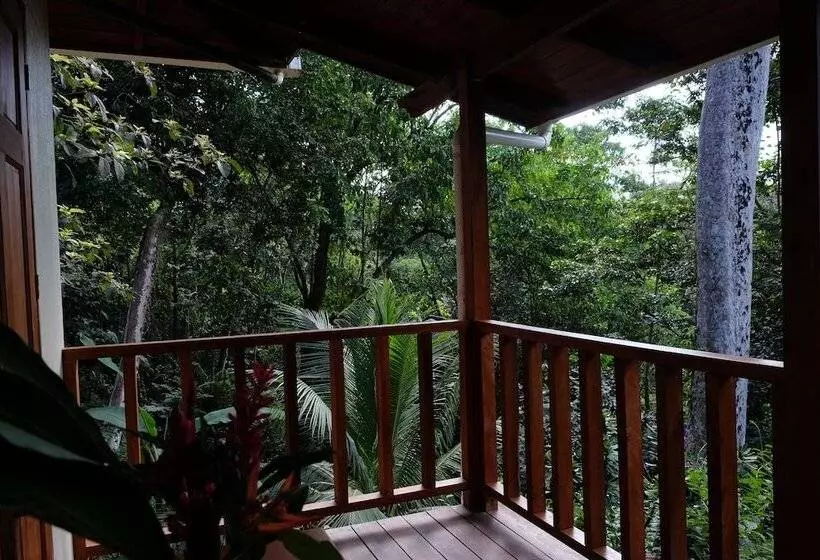 ホテル Villas En El Bosque