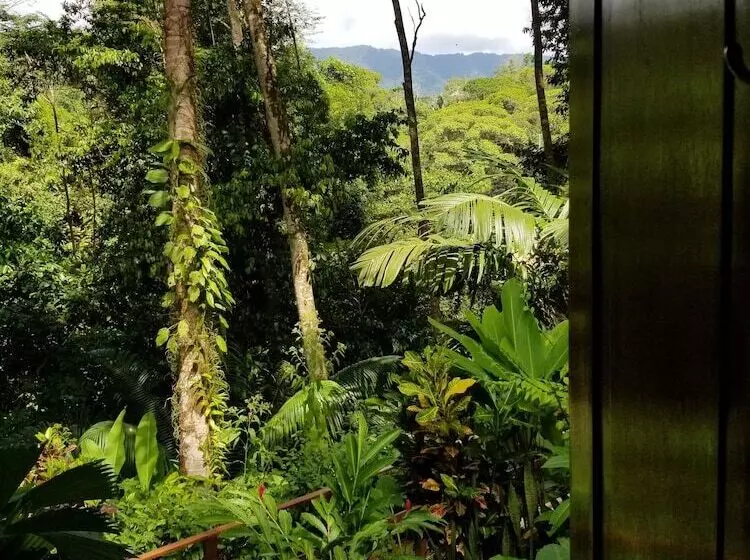 ホテル Villas En El Bosque