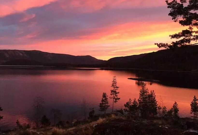 Nisser Hyttegrend Og Camping