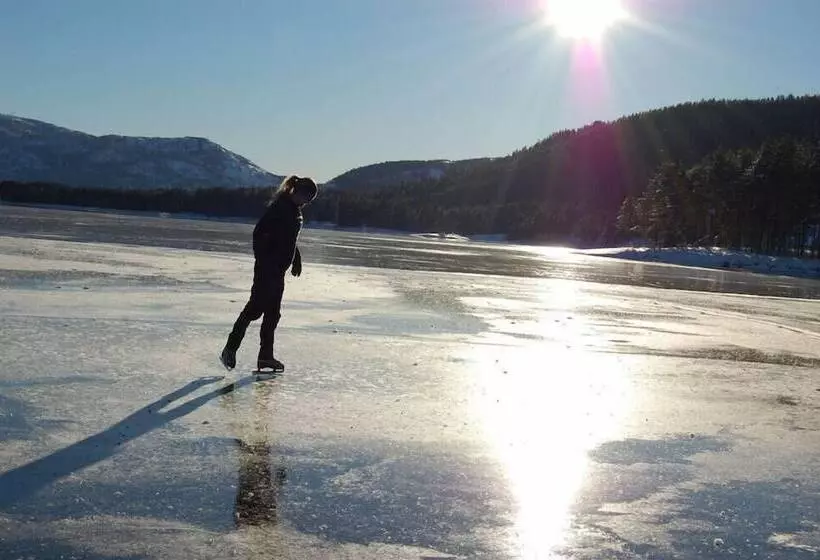 Nisser Hyttegrend Og Camping