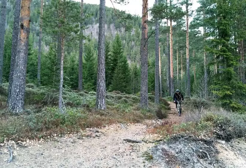 Nisser Hyttegrend Og Camping