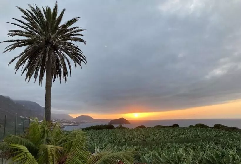 Majatalo Malpais Trece