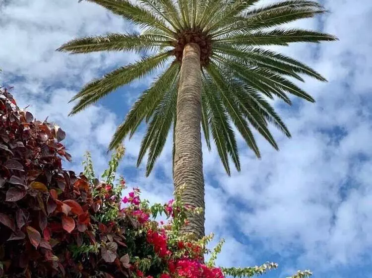 Majatalo Malpais Trece