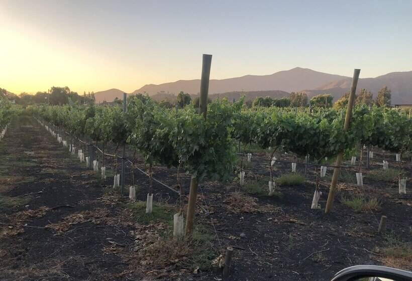 膳宿费 Casona Lo Aguirre Hotel Y Convenciones