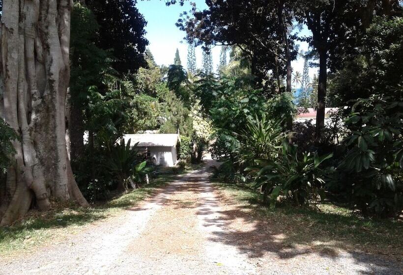 پانسیون Les Cases De Plum