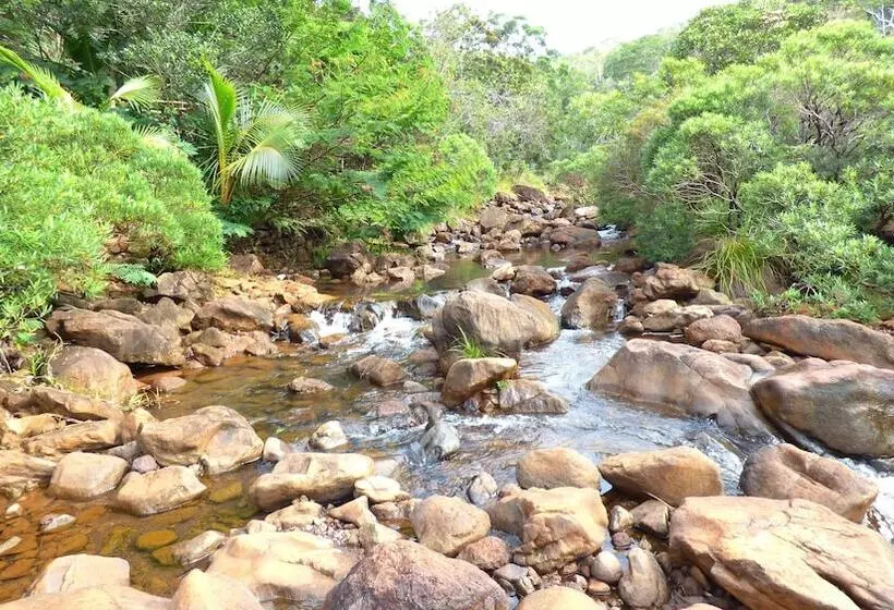 پانسیون Les Cases De Plum