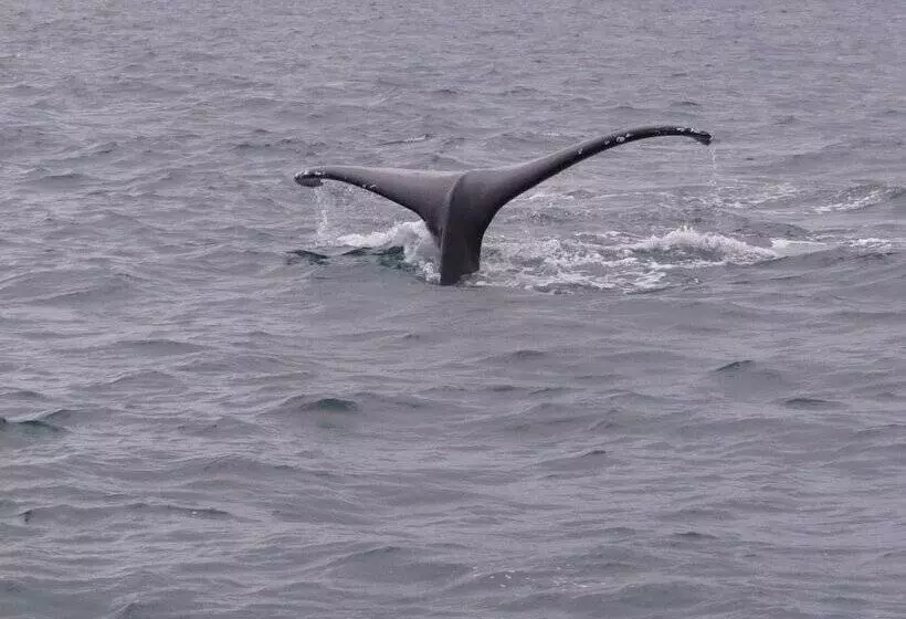 پانسیون Les Cases De Plum