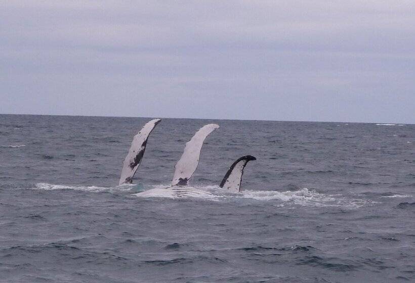 پانسیون Les Cases De Plum