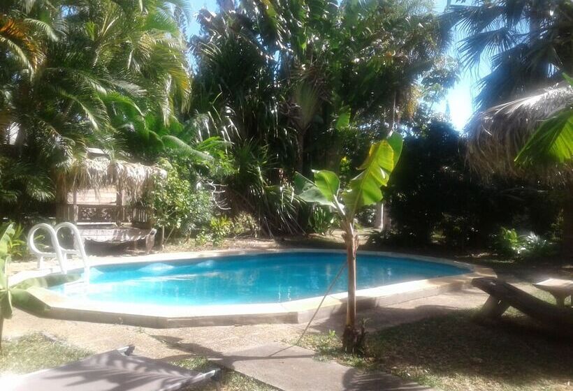 پانسیون Les Cases De Plum