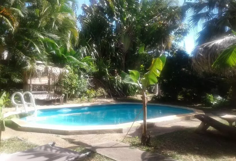 پانسیون Les Cases De Plum