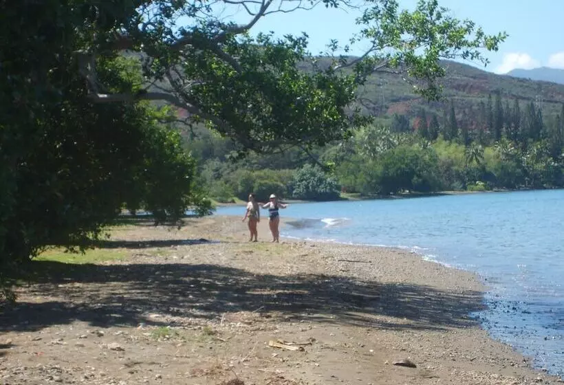 پانسیون Les Cases De Plum