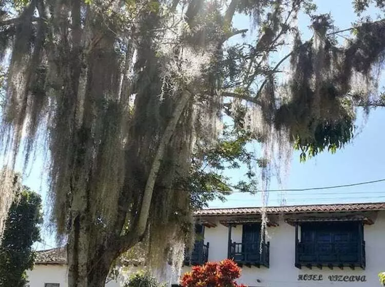 ペンション Vizcaya Plaza Curití