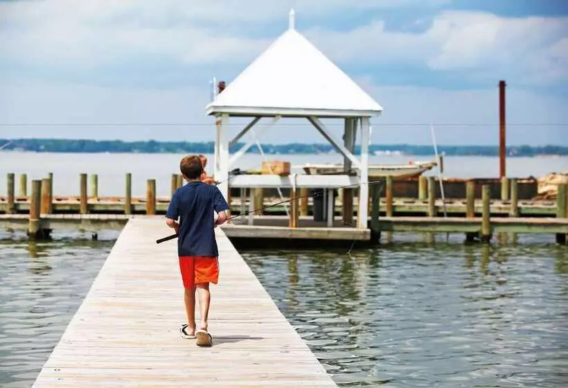 Lomakeskus Grey S Point Camp