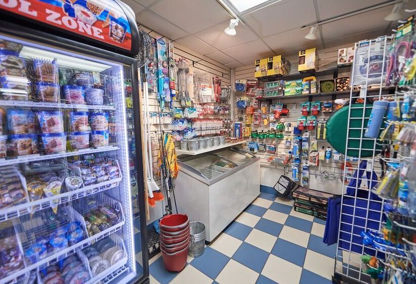 リゾートホテル Grey S Point Camp