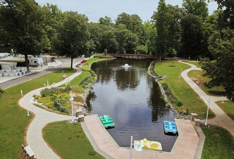 リゾートホテル Grey S Point Camp