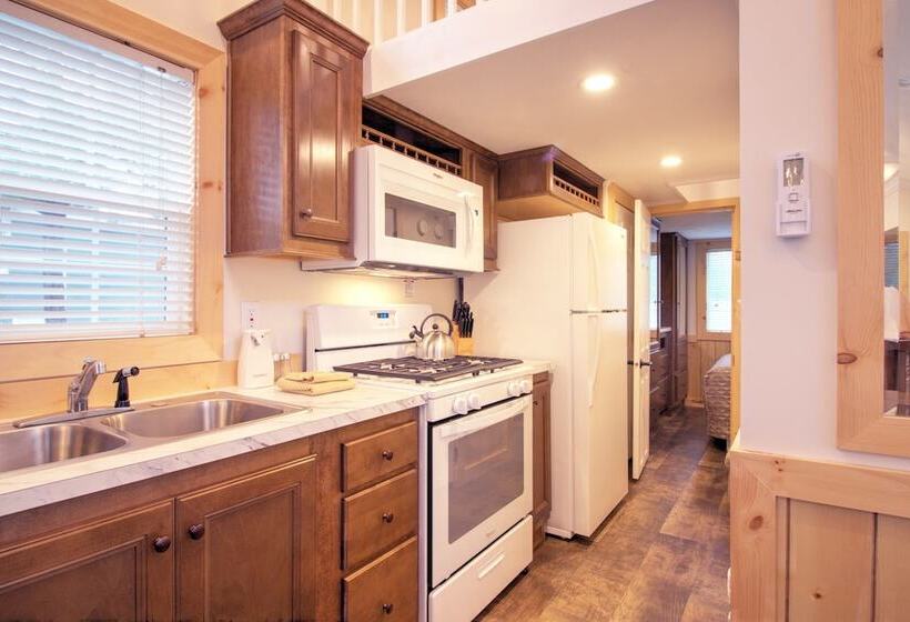 リゾートホテル Grey S Point Camp