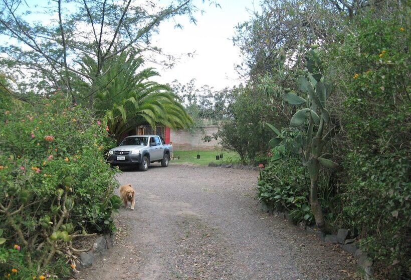 Bed and Breakfast Arie S Cabin