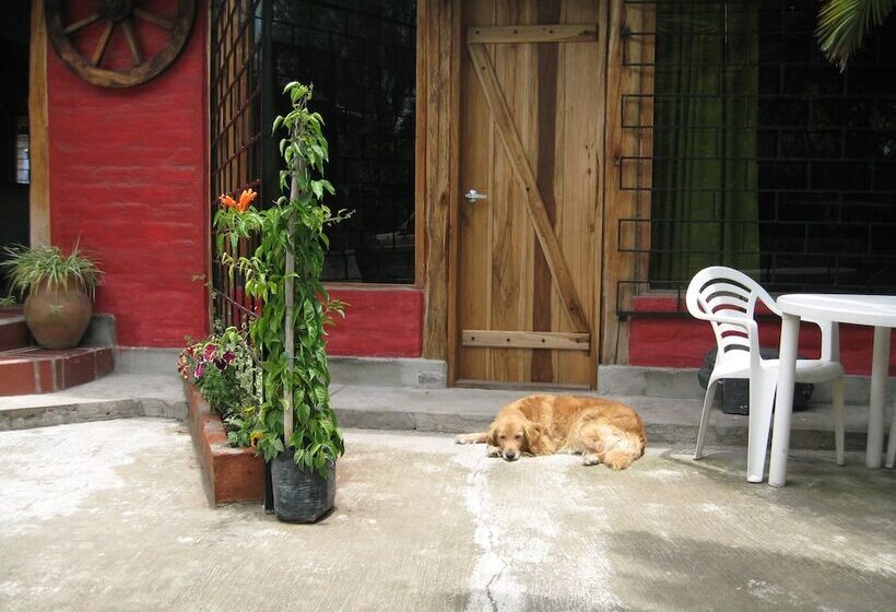 Bed and Breakfast Arie S Cabin