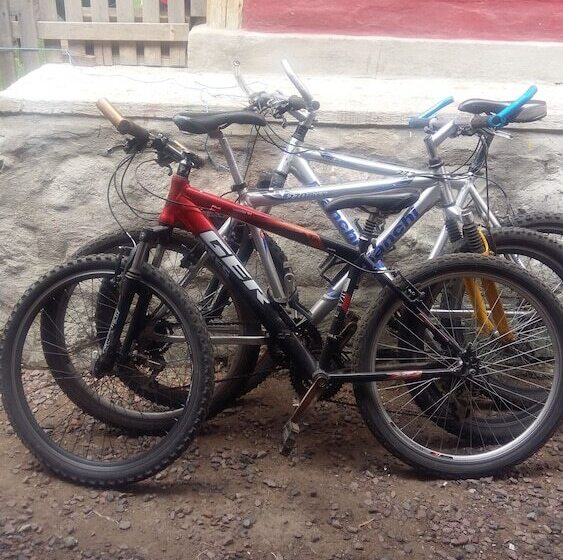 Bed and Breakfast Arie S Cabin