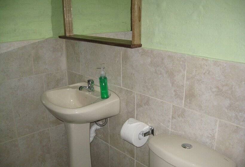 Bed and Breakfast Arie S Cabin