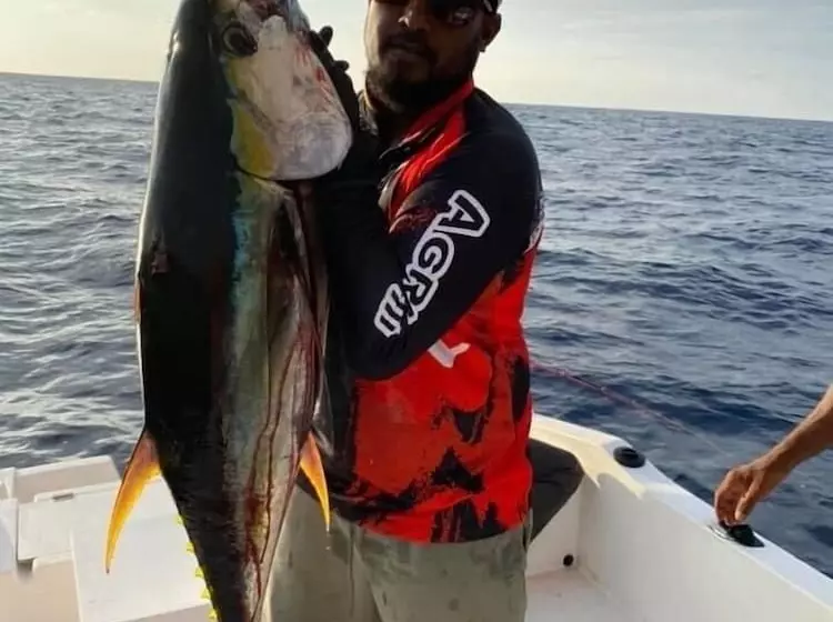 تختخواب و صبحانه Finimas Residence