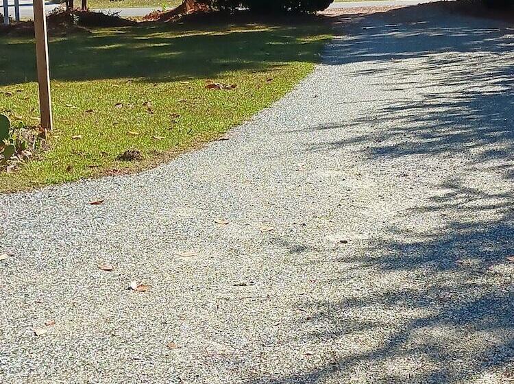 ベッドアンドブレックファースト Island House Of Wanchese