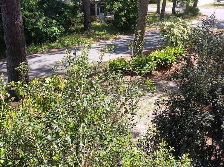 ベッドアンドブレックファースト Island House Of Wanchese