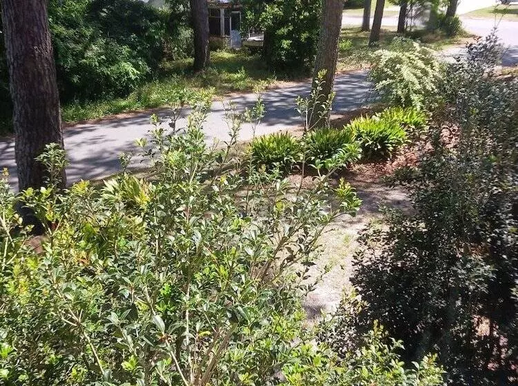 Aamiaismajoitus (B&B) Island House Of Wanchese