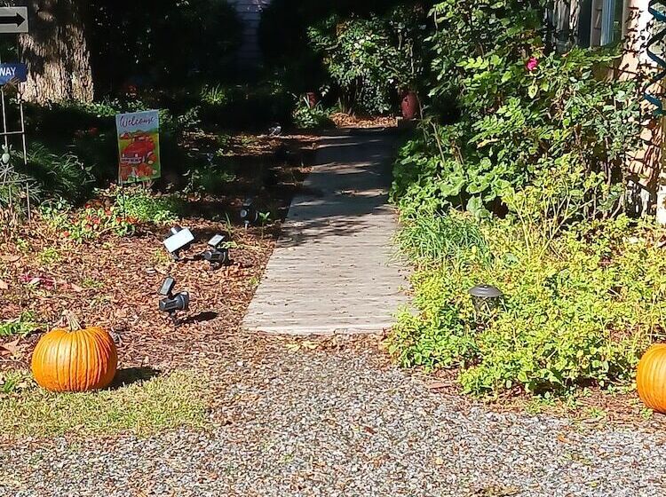 ベッドアンドブレックファースト Island House Of Wanchese