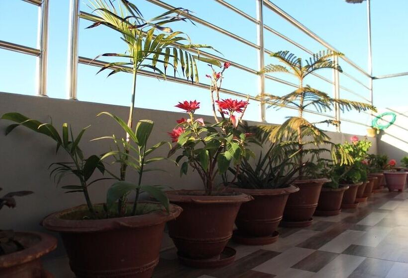 تختخواب و صبحانه Natures Treat Homestay