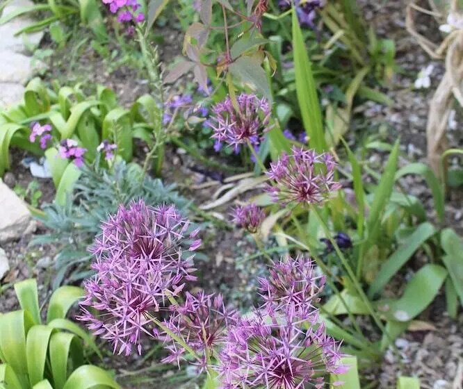 Aamiaismajoitus (B&B) Roundhill Farmhouse