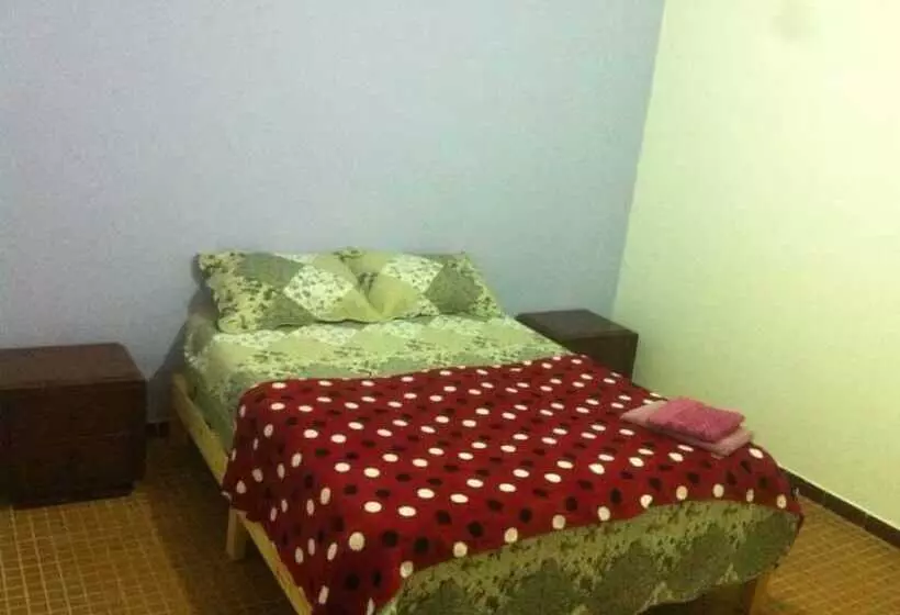 Gazania B&b