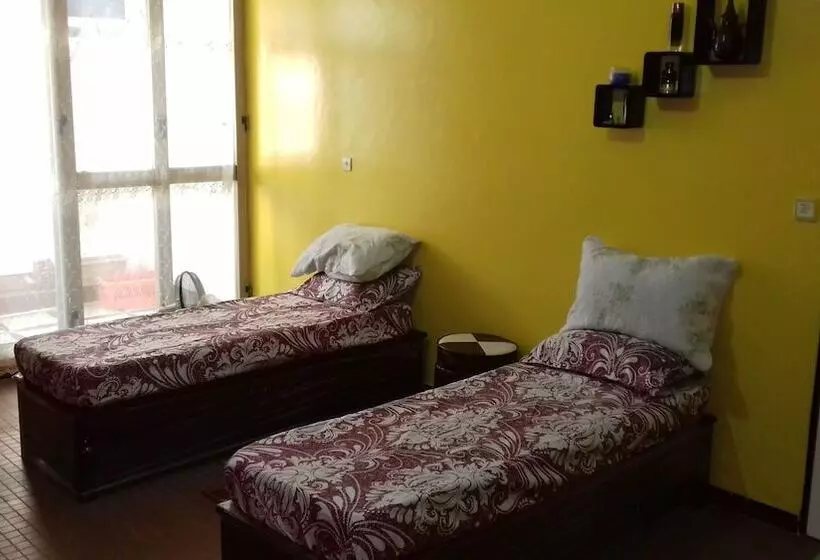 Gazania B&b
