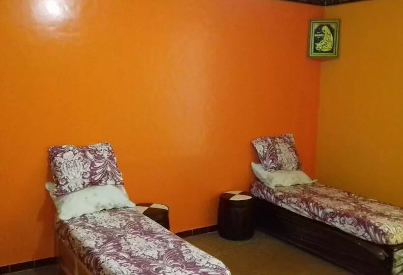 Gazania B&b