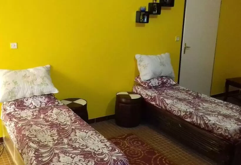 Gazania B&b