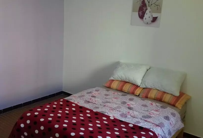 Gazania B&b
