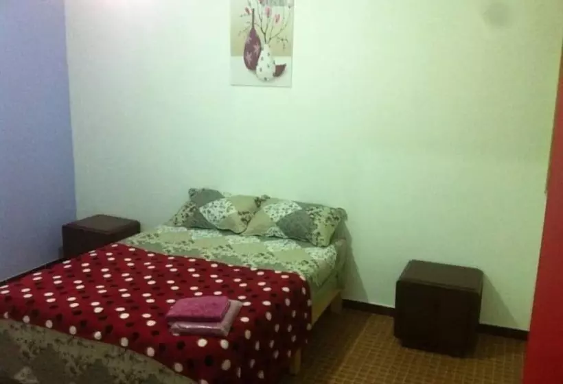 Gazania B&b