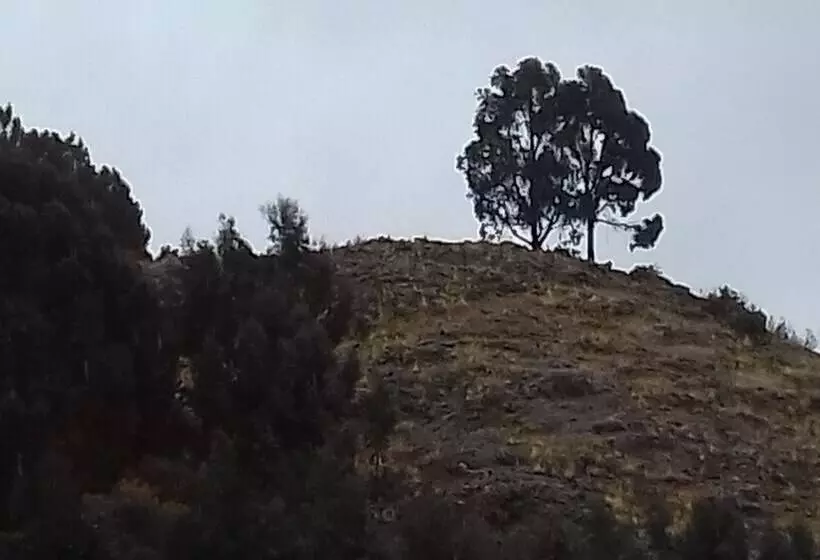 Hostal Piedra Andina