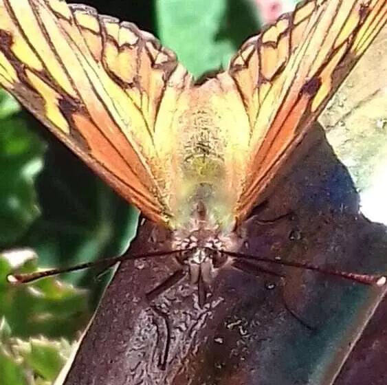 Hostal Piedra Andina