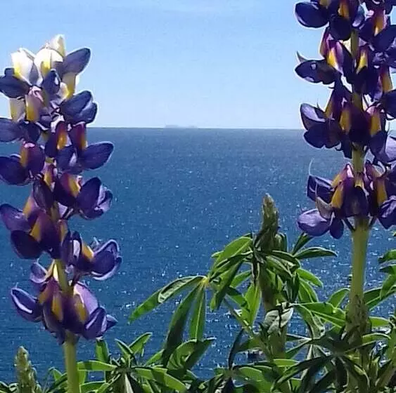 Hostal Piedra Andina