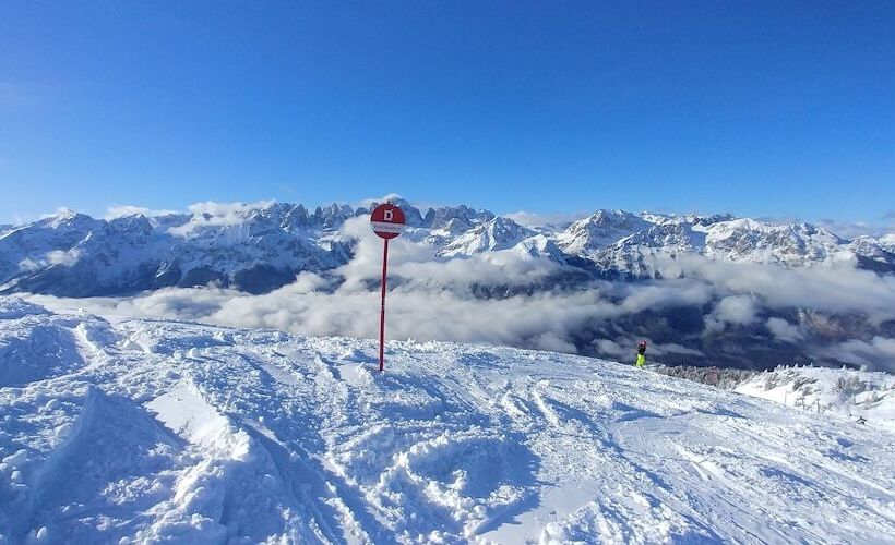 ホテル Belvedere & Paradise Club Center