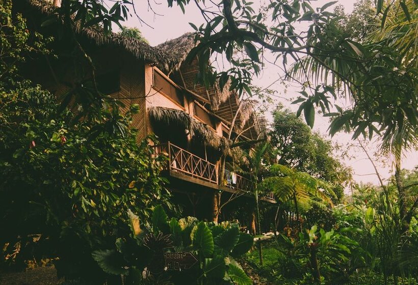 هتل Unique Exotic