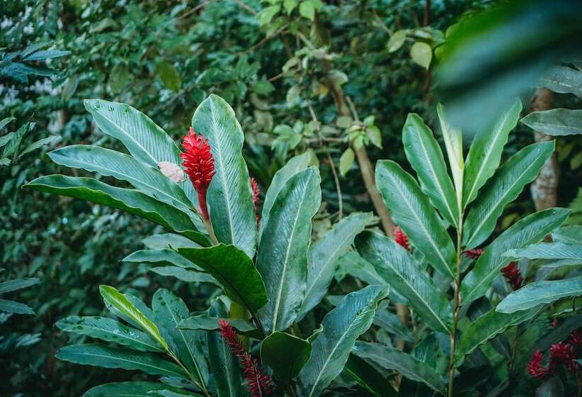 هتل Unique Exotic