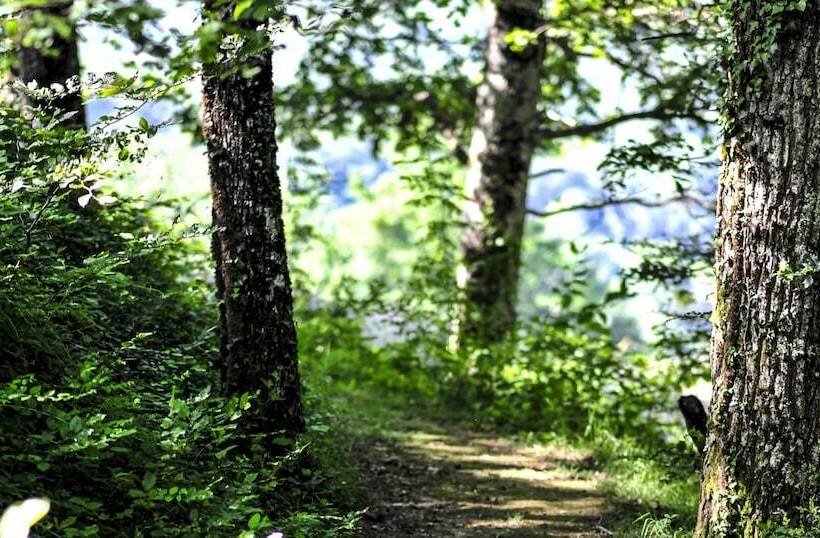 ペンション Villa Ric